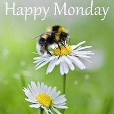 Happy Monday 🐝🐝🐝 Bee Happy 🐝🐝🐝 Shop our bee 🐝 collection In Store  And Online At…  https://makeyourhouseahomewhitchurch.com/search?type=product&q=Bee  @followers #makeyourhouseahomewhitchurch #whitchurchshropshire  #shropshirebusiness ...