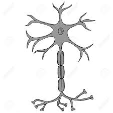 Ihre bezeichnung als neuron (von altgriech. Nervenzelle Neuron Neuron Im Skizzenstil Isoliert Auf Weissem Hintergrund Tinte Hand Gezeichnet Illustration Lizenzfrei Nutzbare Vektorgrafiken Clip Arts Illustrationen Image 78018578