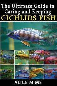 the ultimate guide in caring and keeping cichlids fish