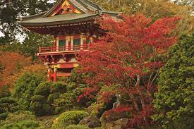 Japanese Tea Garden In Golden Gate Park San Francisco California United States Of America Pacificstock