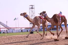We did not find results for: Ø§Ù„Ø¥Ù…Ø§Ø±Ø§Øª Øª Ø¯Ø±Ø¬ Ø§Ù„Ø£ÙÙ„Ø§Ø¬ Ùˆ Ø³Ø¨Ø§Ù‚ Ø§Ù„Ù‡Ø¬Ù† Ø¨Ù‚Ø§Ø¦Ù…Ø© Ø§Ù„ÙŠÙˆÙ†Ø³ÙƒÙˆ Ù„Ù„ØªØ±Ø§Ø« Ø§Ù„Ø«Ù‚Ø§ÙÙŠ