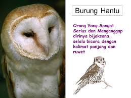 Sejak kecil, kamu sudah diajarkan tentang. Kata Bijak Burung Hantu Cikimm Com