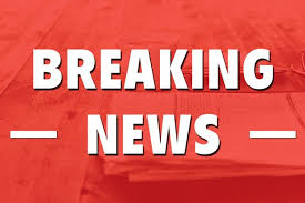 Essex Live Latest Local News Sport Business From Essex