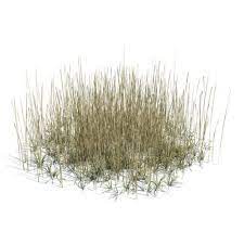 Brown Grey Grass 3d Model Grass Photoshop Grass Textures Grass