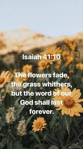 Green is often associated with plants and nature, which leads to it symbolism of life, restoration, and renewal. Pin By Alexis Foster On Encouraging Scriptures Flower Bible Verse Encouraging Scripture Uplifting Quotes