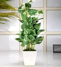 Shop with us for designer quality artificial flowers, flower arrangements, wedding flowers, and artificial plants and trees.we offer a full range of faux floral products for wedding planners, interior designers and boutiques. Buy Green White Polyester Pothos Artificial Plant With Ceramic Pot By Fourwalls Online Artificial Plants Artificial Plants Home Decor Pepperfry Product