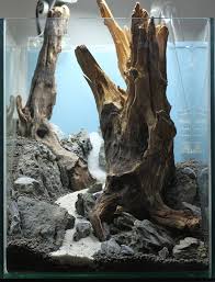 Not So Green Nano Cube Aquarium Design Aquarium Fische Aquarium Hintergrunde