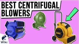Similar to bunnies, they appear in the forest biome. Top 10 Centrifugal Blowers Of 2021 Video Review