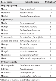 Image result for Acacia adenocalyx