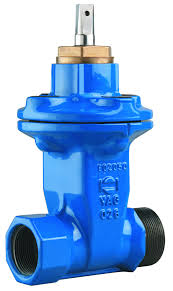VAG BETA®-HA Gate Valve: resilient-seated, with female ...