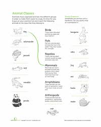 Classifying Animals Education Com Classifying Animals Vertebrates And Invertebrates Animal Classification