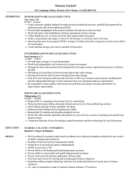 Go beyond the general statement. Software Sales Executive Resume Samples Velvet Jobs