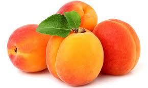 Apricots are rich in many nutrients and vitamins and they provide good nourishment. Can Dogs Eat Apricots Are Apricots Bad For Dogs Doghelpful