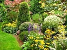 Everyone Deserves A Perfect World Shrubs For Landscaping Emerald Green Arborvitae Evergreen Shrubs