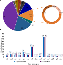 Image result for Coccinia subsessiliflora