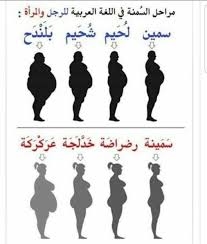 Pin By Eni Ams On لغتي العربية Quotes For Book Lovers Beautiful Arabic Words Islamic Phrases