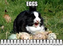Easter Bunny Meme Eggs Jpg 600 440 Funny Easter Memes Animal Captions Funny Animals