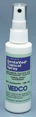 Vedco Inc Gentaved Topical Spray