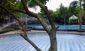 Tempat wisata di jember jawa timur. 8 Kolam Renang Di Jember Kota Jawa Timur Indoor Terbagus Jam Buka Tutup Dengan Fasilitas Paling Bagus Jejakpiknik Com