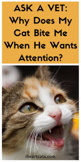 Pin On Pets Are People Too