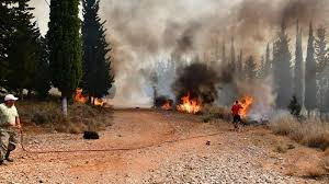 Η φωτιά, από τα ξημερώματα κατακαίει δύσβατη ορεινή έκταση στη σιθωνία χαλκιδικής. Fwtia Axaia Sto Nosokomeio Dyo Pyrosbestes Kai Dyo Polites Se Synagermo To Ekab Cnn Gr
