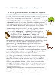 Nahrungsbeziehungen Im Wald Plus Rollenspielkarten Unterrichtsmaterial In Den Fachern Biologie Sachunterricht In 2020 Unterrichtsmaterial Biologie Nahrungskette