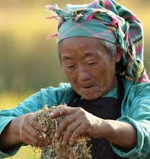 Financial Instruments for Green Growth in Viet Nam