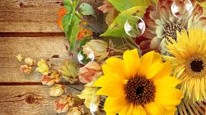 Check spelling or type a new query. Autumn Sunflower Desktop Wallpapers 4k Hd Autumn Sunflower Desktop Backgrounds On Wallpaperbat