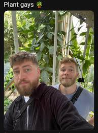 Twink Shenanigans : rOkHomo