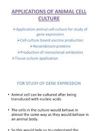Check spelling or type a new query. Applications Of Animal Cell Culture Monoclonal Antibody Cell Culture
