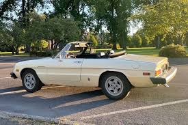 Image result for Avorio 1982 Alfa-Romeo