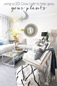 The vivosun cob grow lights are professional led lights and provide you will premium however, the overheating aspect bothers me. Led Grow Lights Cuckoo4design