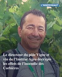 La grande question, le rush des vendanges passé, sera de savoir quelles  parcelles conserver ou arracher" : le directeur du pôle Vigne et vin de  l'Institut Agro décrypte les effets de l'incendie