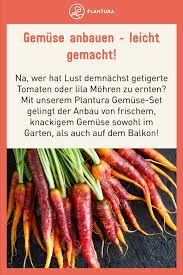 gemuse anbauen leicht gemacht gemuse anbauen gartnern auf kleinem raum anzuchtset