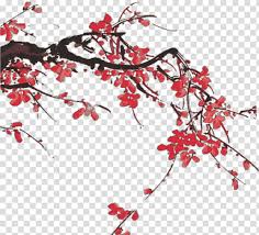 You can use a tiny syringe for this one. Cherry Blossom Tree Drawing Horse Watercolor Painting Oilpaper Umbrella Blanket Nirvana In Fire Red Branch Transparent Background Png Clipart Hiclipart