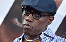 He dies shortly afterwards as. Wesley Snipes Net Worth 2020 Actor And Martial Artist Foreign Policy