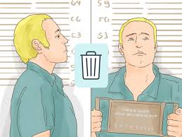 Get your criminal record information. How To Expunge A Dui With Pictures Wikihow
