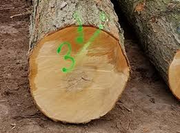 You are using an outdated browser that is no longer supported by ontario.ca. Walnut Logs Veneer Saw Grades Porter Lumber