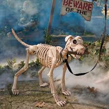 Shadow The Skeleton Dog On Leash Halloween Skeletons Dog Skeleton Dog Skeleton Halloween