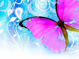 49 Cute Butterfly Desktop Wallpapers On Wallpapersafari Create a calming yet stylish space with some of our bird and butterfly styles.