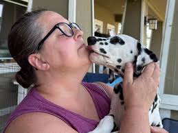 Saying my goodbyes to Graham. Goodbyes are very hard. Very bittersweet. We  love them for the first few months then they go to their forever families.  Sometimes those are across the USA,