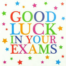 Best Of Luck | Private Second Level School | Revision Courses | Limerick  Tutorial College