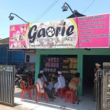 We did not find results for: Gaorie Petshop Care Di Kabupaten Jembrana Alamat Ulasan Pintarpet