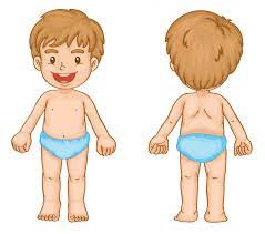 Ninos Partes Cuerpo Vectores Graficos Imagenes Vectoriales Depositphotos
