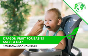 We did not find results for: Dragon Fruit For Babies Safe To Eat Seeds Del Mundo