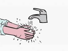 Check spelling or type a new query. Wash Hands Gifs Tenor