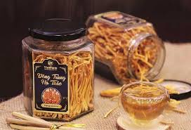 TOP 8 Địa Chỉ Mua Đông Trùng Hạ Thảo Chất Lượng Tốt Nhất 2025