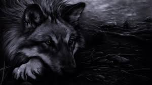 We did not find results for: 31 Cool Wolf Wallpapers Wallpaperboat