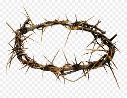 Crown Of Thorns Png Hd Transparent Crown Of Thorns Story Of His Love Cd Clipart 1024120 Pinclipart 49 transparent png of crown of thorns. of thorns png hd transparent crown