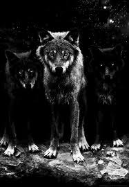 Disorder Wolf Dog Wolf Spirit Animals